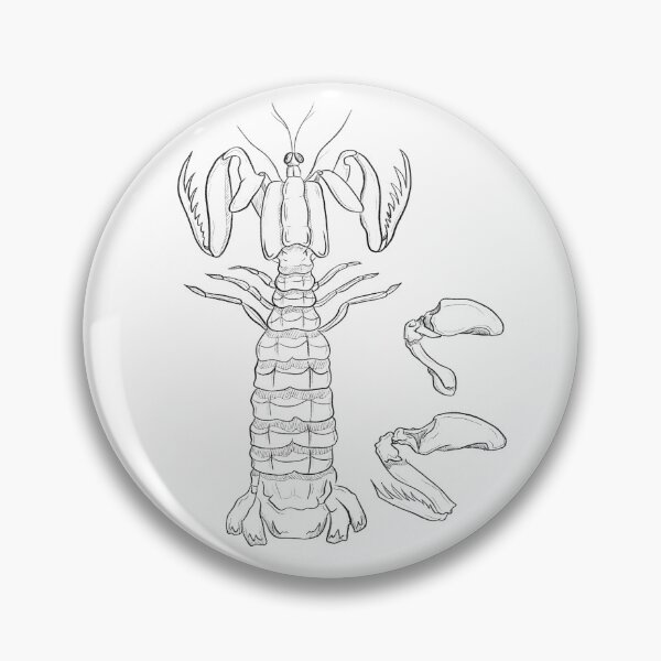 Item preview, Mantis Shrimp  designed and sold by 10d0llars.