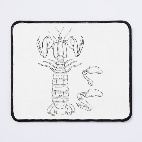 Item preview, Mantis Shrimp  designed and sold by 10d0llars.