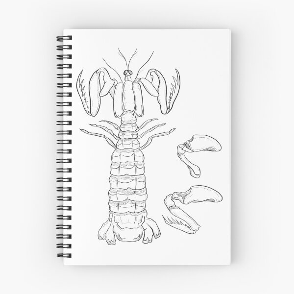 Item preview, Mantis Shrimp  designed and sold by 10d0llars.