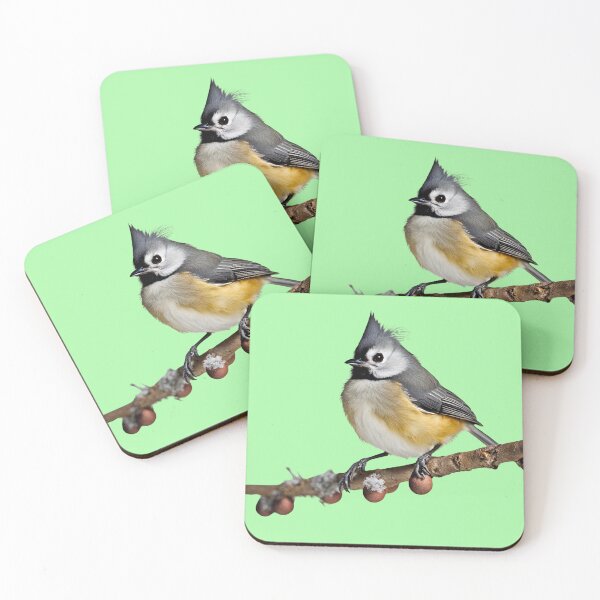 Item preview, Titmouse designed and sold by StyleSketch.