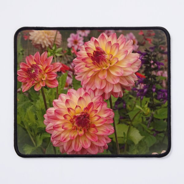 Item preview, Summer Garden designed and sold by RosRidleyPhoto.