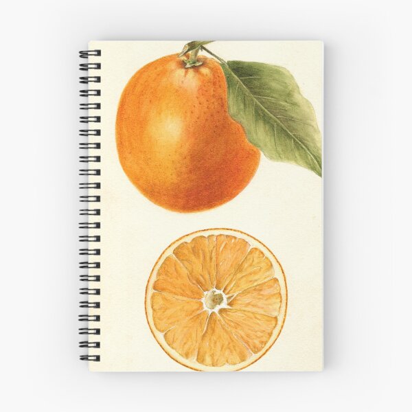Item preview, Vintage Painting of an Orange  designed and sold by BravuraMedia.