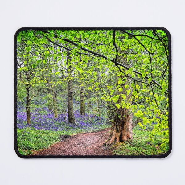 Item preview, Canopy of Leaves designed and sold by RosRidleyPhoto.
