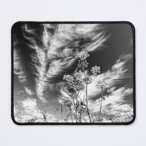 Item preview, Digital photograph of sunlit grass against dramatic clouds in monochrome designed and sold by SimonJohnson1.