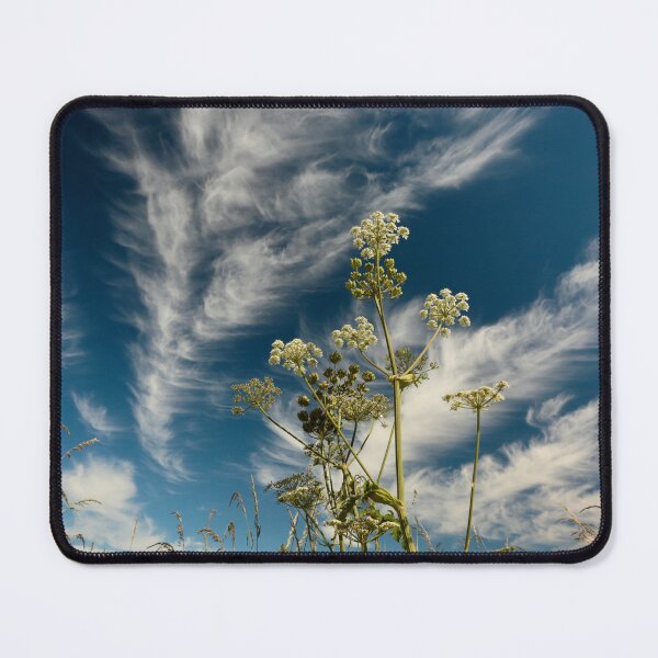 Item preview, Digital photograph of sunlit grass against dramatic clouds in colour designed and sold by SimonJohnson1.