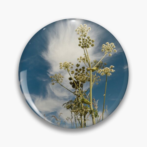 Item preview,  Digital photograph of sunlit grass against dramatic  clouds in colour designed and sold by SimonJohnson1.