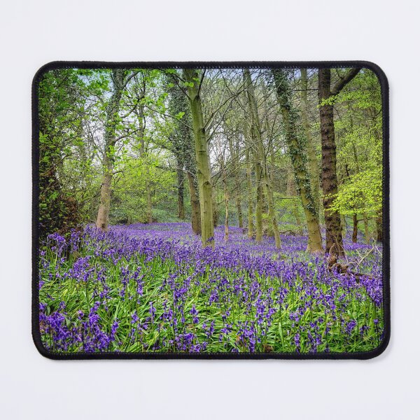 Item preview, In the Bluebell Woods designed and sold by RosRidleyPhoto.