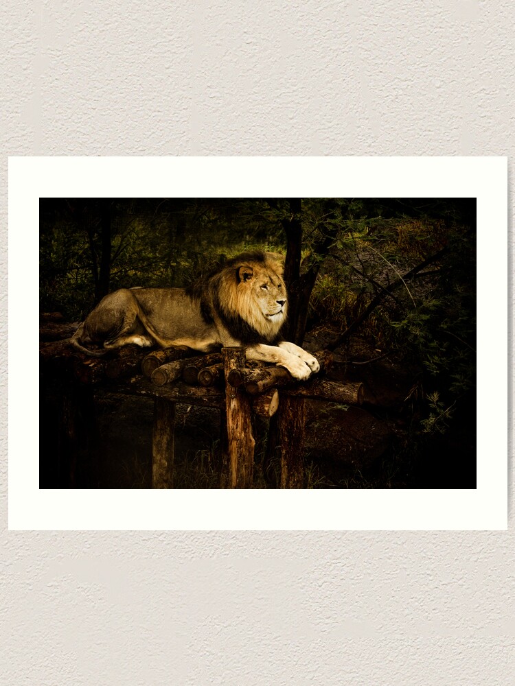 Alternate view of King Art Print