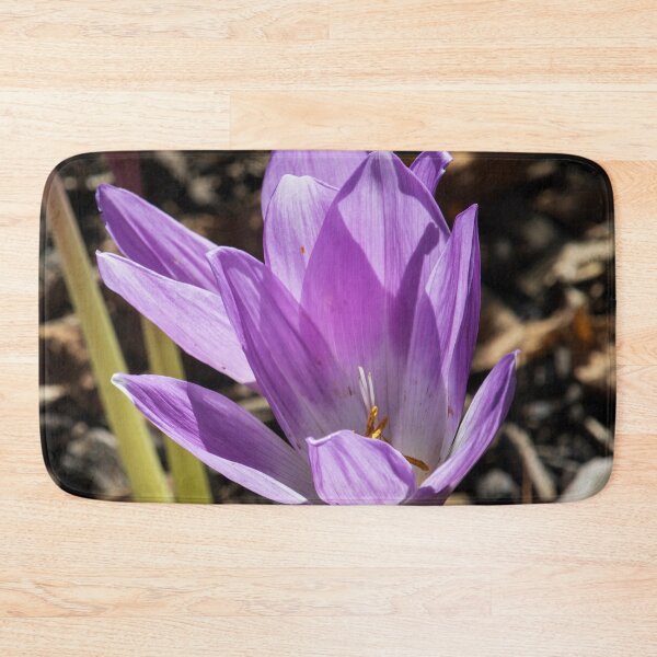 Item preview, Purple Crocuses designed and sold by Tim Dusenberry.