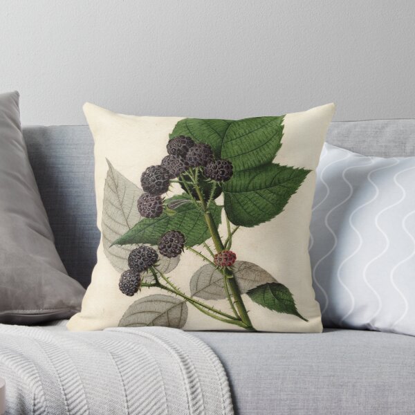 Vintage Painting of Blackberries Throw Pillow