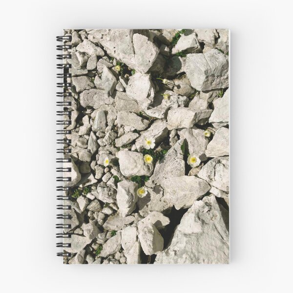 Item preview, Flower sorrounded from rock designed and sold by foxxya.
