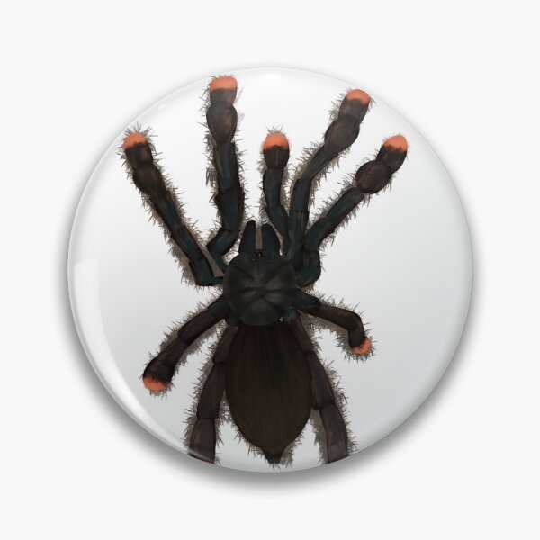 Item preview, Pinktoe tarantula designed and sold by Fluffy1810.