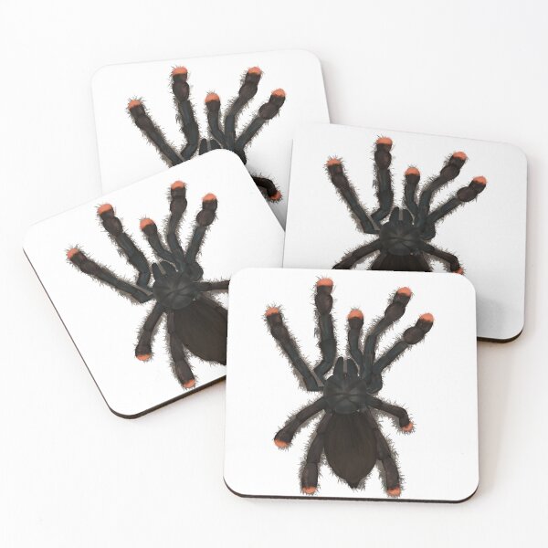 Item preview, Pinktoe tarantula designed and sold by Fluffy1810.