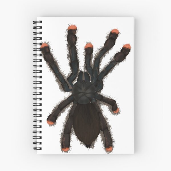 Item preview, Pinktoe tarantula designed and sold by Fluffy1810.