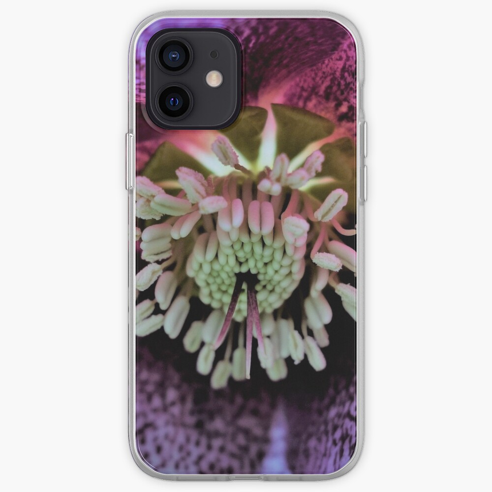 Purple Hellebore iPhone Case & Cover