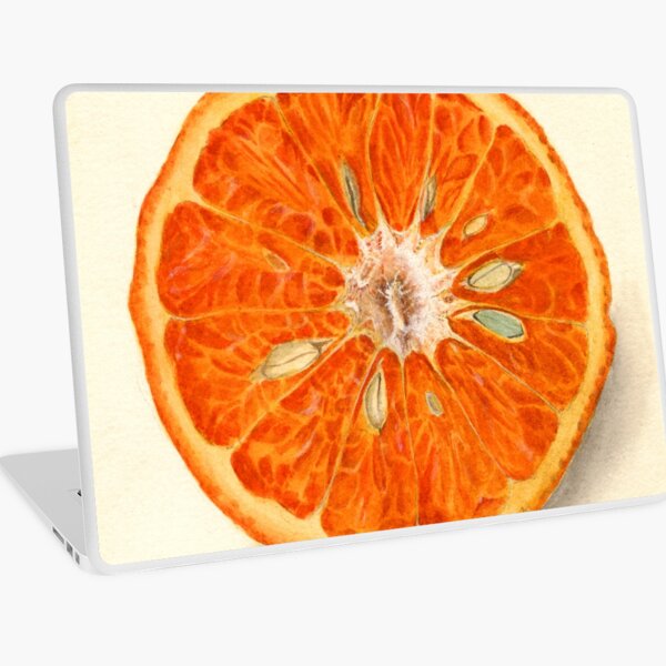 Vintage Painting of Tangerines Laptop Skin