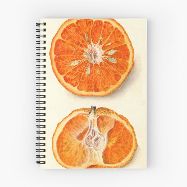 Item preview, Vintage Painting of Tangerines  designed and sold by BravuraMedia.