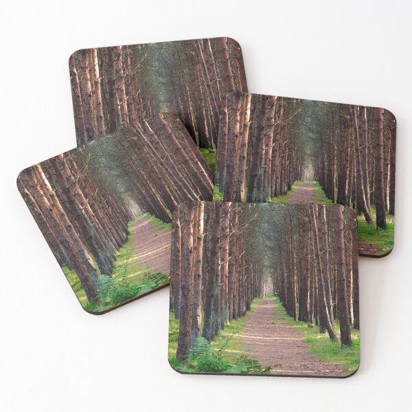 Item preview, A walk in the Forest - Scotland  designed and sold by Xshooter.