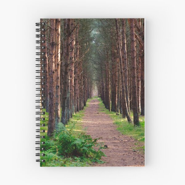 Item preview, A walk in the Forest - Scotland  designed and sold by Xshooter.