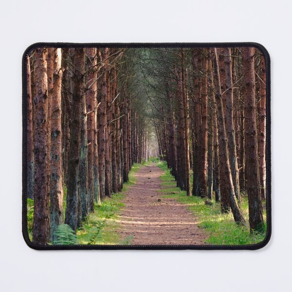 Item preview, A walk in the Forest - Scotland  designed and sold by Xshooter.