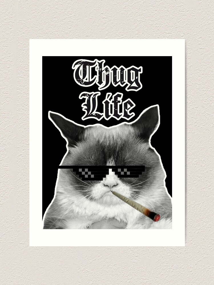 Thug Life Cat Art Print By Headout Redbubble