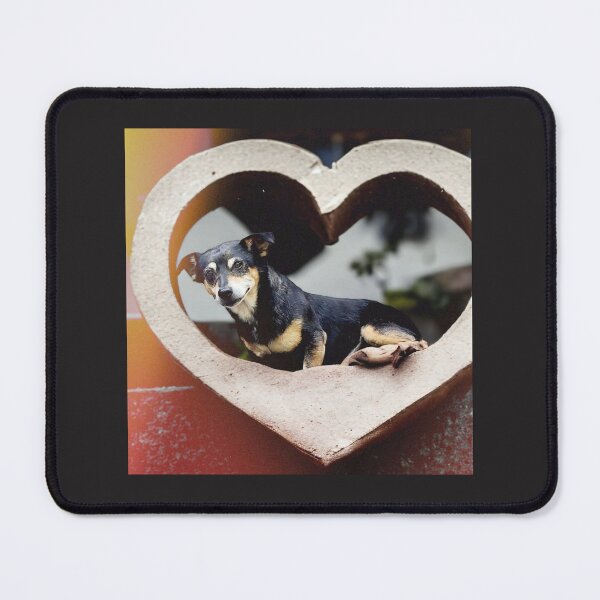 Item preview, Chiweenie in a Heart designed and sold by Tiberiusthecat.
