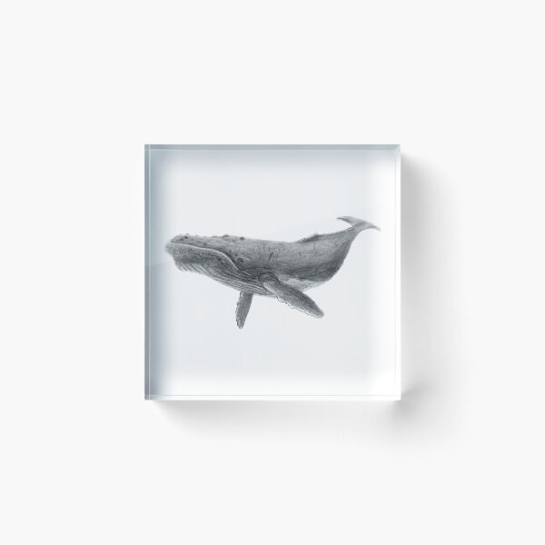 Item preview, Zack’s humpback whale designed and sold by asiddesign.