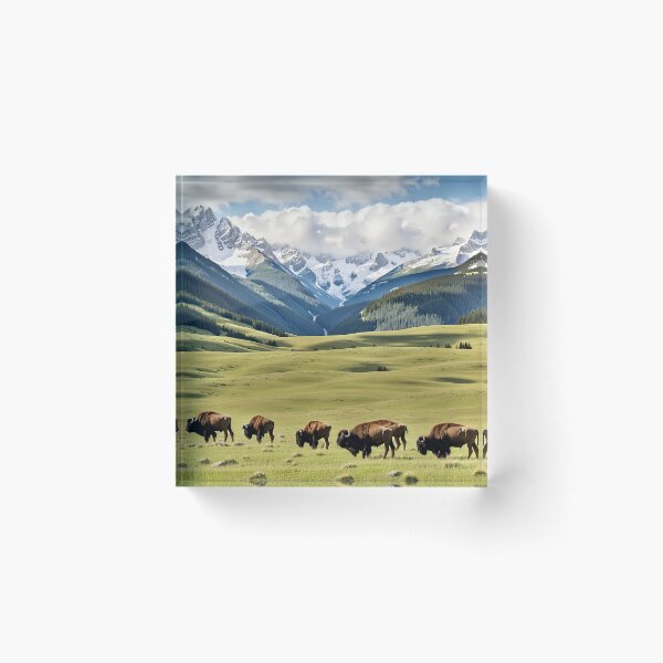 Item preview, Where the Buffalo Roam #2 designed and sold by Daveidaho.