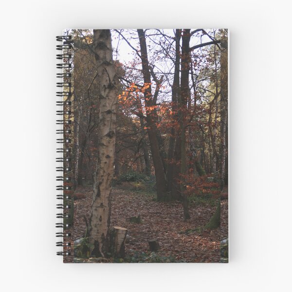 Item preview, light seeping through designed and sold by aribirdphotos.