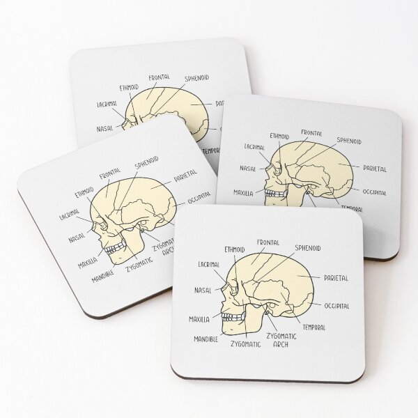 Item preview, Hand Drawn Skull Anatomy designed and sold by SofiaSava01.