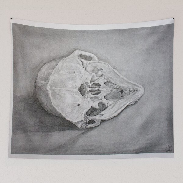 Item preview, Animal Skull Biological Drawing designed and sold by APCHAUart.