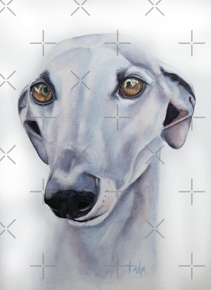 "Greyhound A loving soul" by Tanja Kooymans Redbubble
