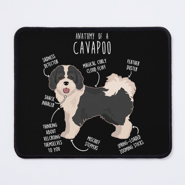 Item preview, Parti Cavapoo Dog Anatomy designed and sold by ElectricRevival.