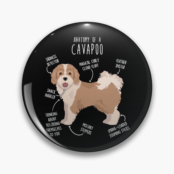 Item preview, Parti Cavapoo Dog Anatomy   designed and sold by ElectricRevival.