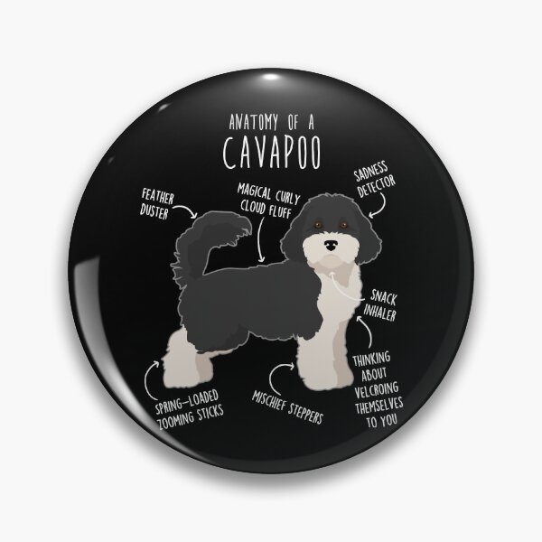 Item preview, Parti Cavapoo Dog Anatomy designed and sold by ElectricRevival.