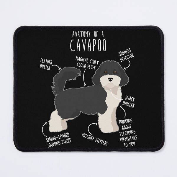 Item preview, Parti Cavapoo Dog Anatomy designed and sold by ElectricRevival.