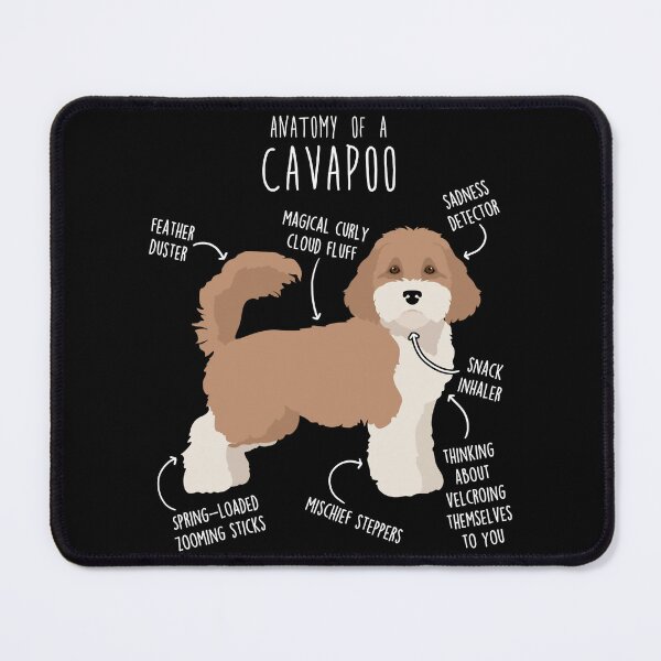 Item preview, Parti Cavapoo Dog Anatomy designed and sold by ElectricRevival.