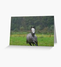 Belezza Greeting Card