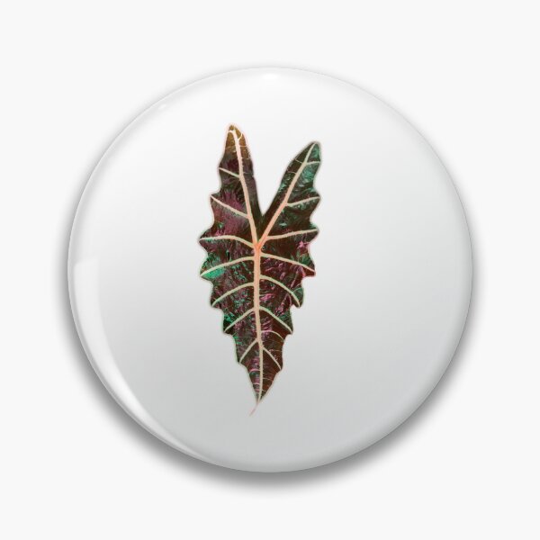Item preview, Alocasia Polly Leaf designed and sold by Meo Design.