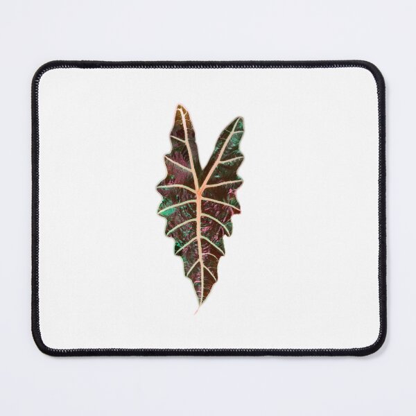 Item preview, Alocasia Polly Leaf designed and sold by Meo Design.