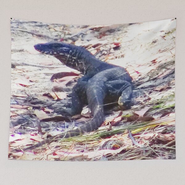 Item preview, The Goanna on the Track! designed and sold by Mickangelhere.