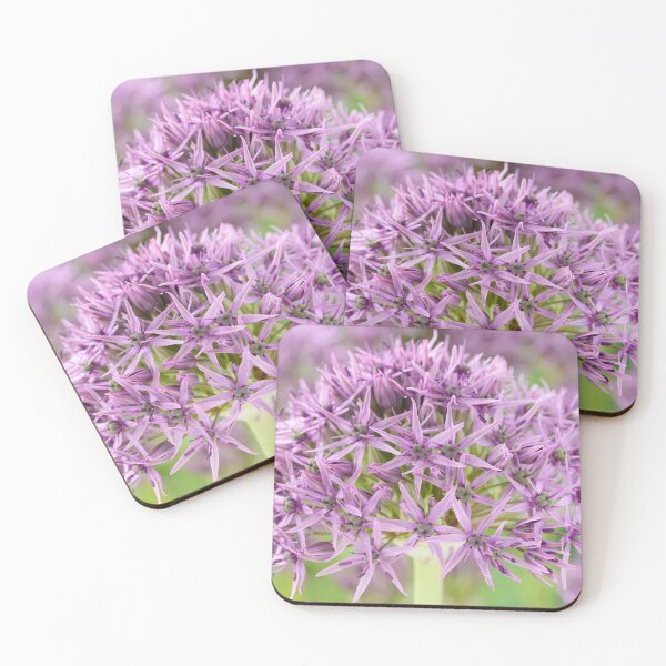 Item preview, Allium stipitatum  'Violet Beauty'  designed and sold by Chris Burrows.