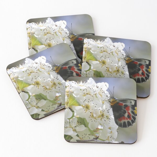 Item preview, Butterfly Blossom designed and sold by Linda Simpson.