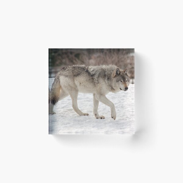 Item preview, Prowling Wolf designed and sold by Eunice Gibb.