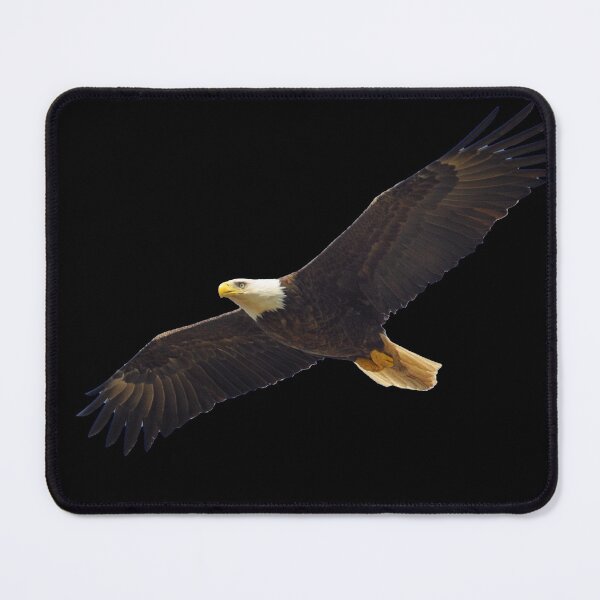 Item preview, Bald Eagle designed and sold by tpixx.