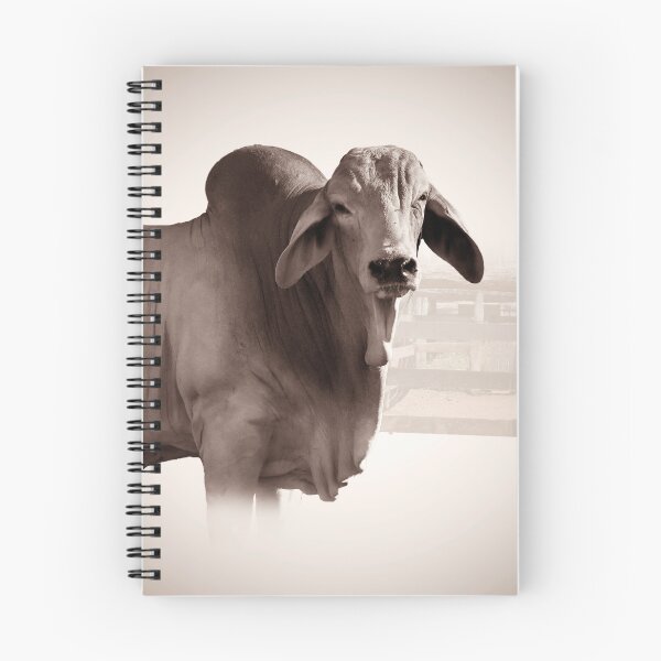 Item preview, BRAHMAN BULL, CATTLE designed and sold by Barbara Jean Photo Art And Design.
