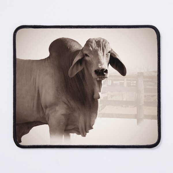 Item preview, BRAHMAN BULL, CATTLE designed and sold by Barbara Jean Photo Art And Design.