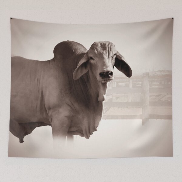 Item preview, BRAHMAN BULL, CATTLE designed and sold by Barbara Jean Photo Art And Design.