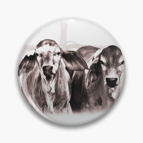 Item preview, BRAHMAN CALVES, GORGIOUS CATTLE FOR COUNTRY THEMED HOME DECOR, WALL ART, COUNTRY WEAR AND MORE designed and sold by Barbara Jean Photo Art And Design.