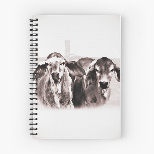 Item preview, BRAHMAN CALVES, GORGIOUS CATTLE FOR COUNTRY THEMED HOME DECOR, WALL ART, COUNTRY WEAR AND MORE designed and sold by Barbara Jean Photo Art And Design.
